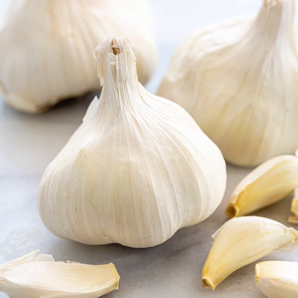 Garlic