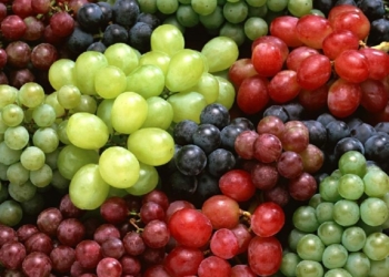 Fresh Grapes