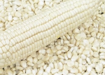 White Corn