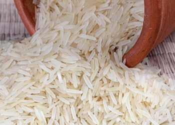 Rice